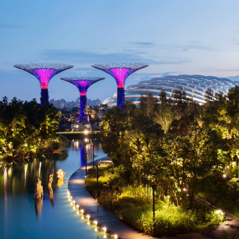 Singapore's Gardens by the Bay