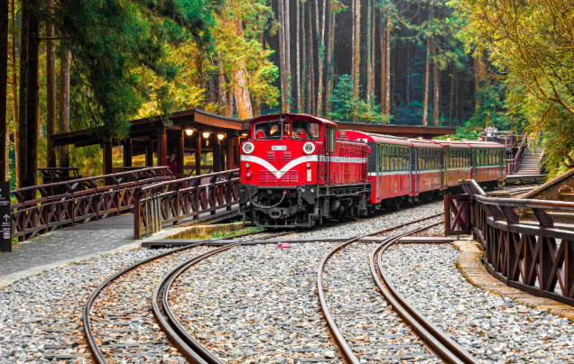 Day 7: Board the Forest Train