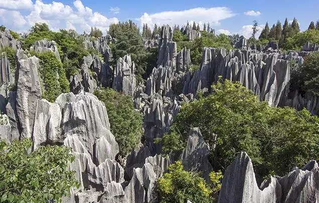 Day 3: Discover the Stone Forest