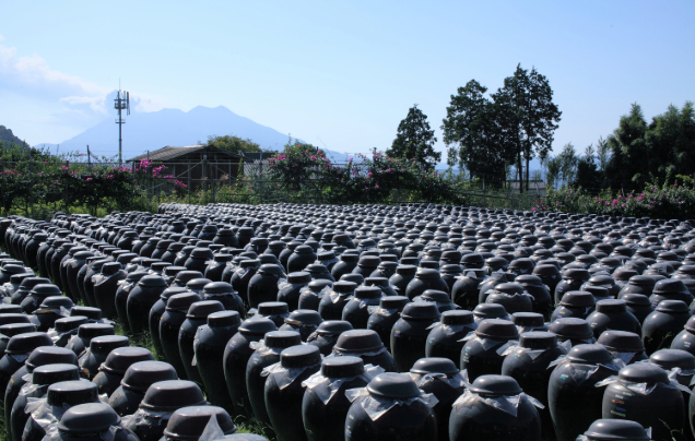 Day 10: Flavours of Kagoshima