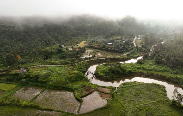 Day 16: Return to Tana