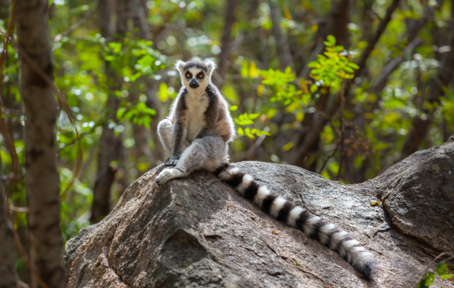 Day 8: Visit Valbio Research Centre