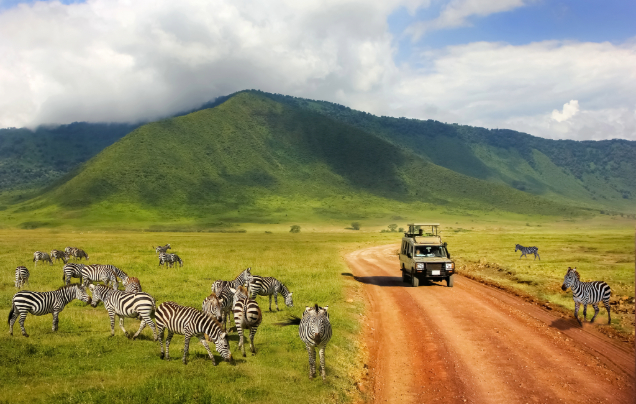 Day 7: Safari in Ngorongoro