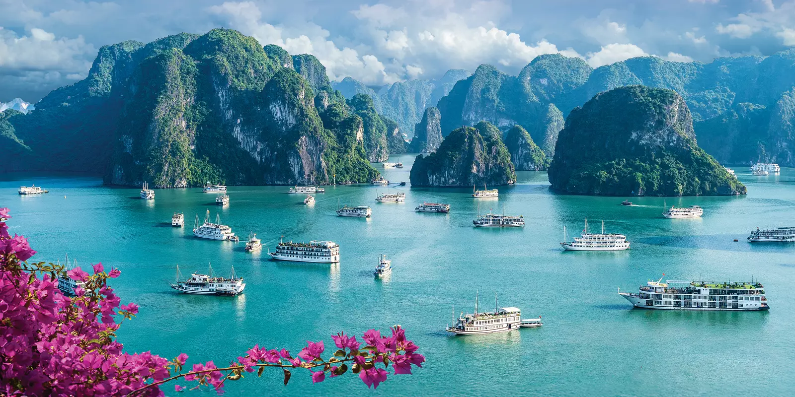 Premium Economy Upgrade From $299pp Return