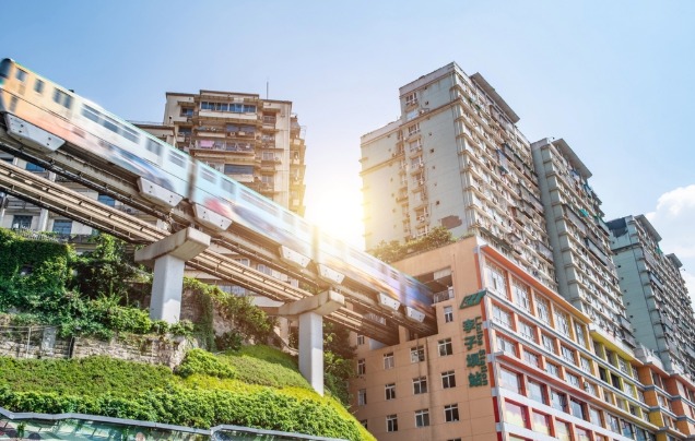 Day 12: Giant Pandas