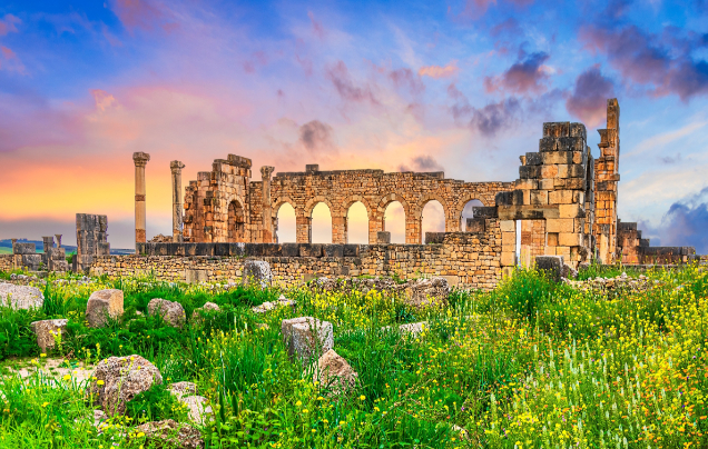 Day 5: Ancient Volubilis