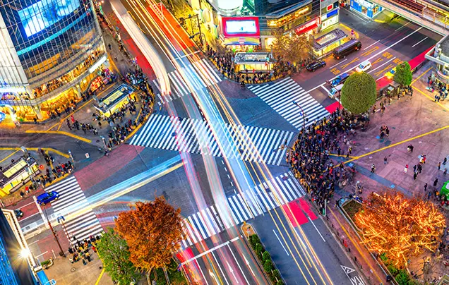 Day 4: Further Explore Tokyo