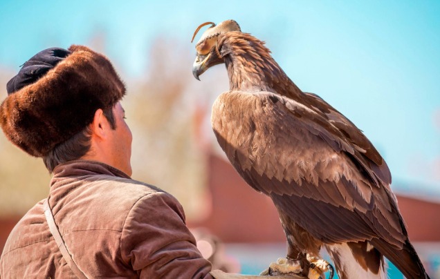 Day 9: Meet an Eagle Hunter