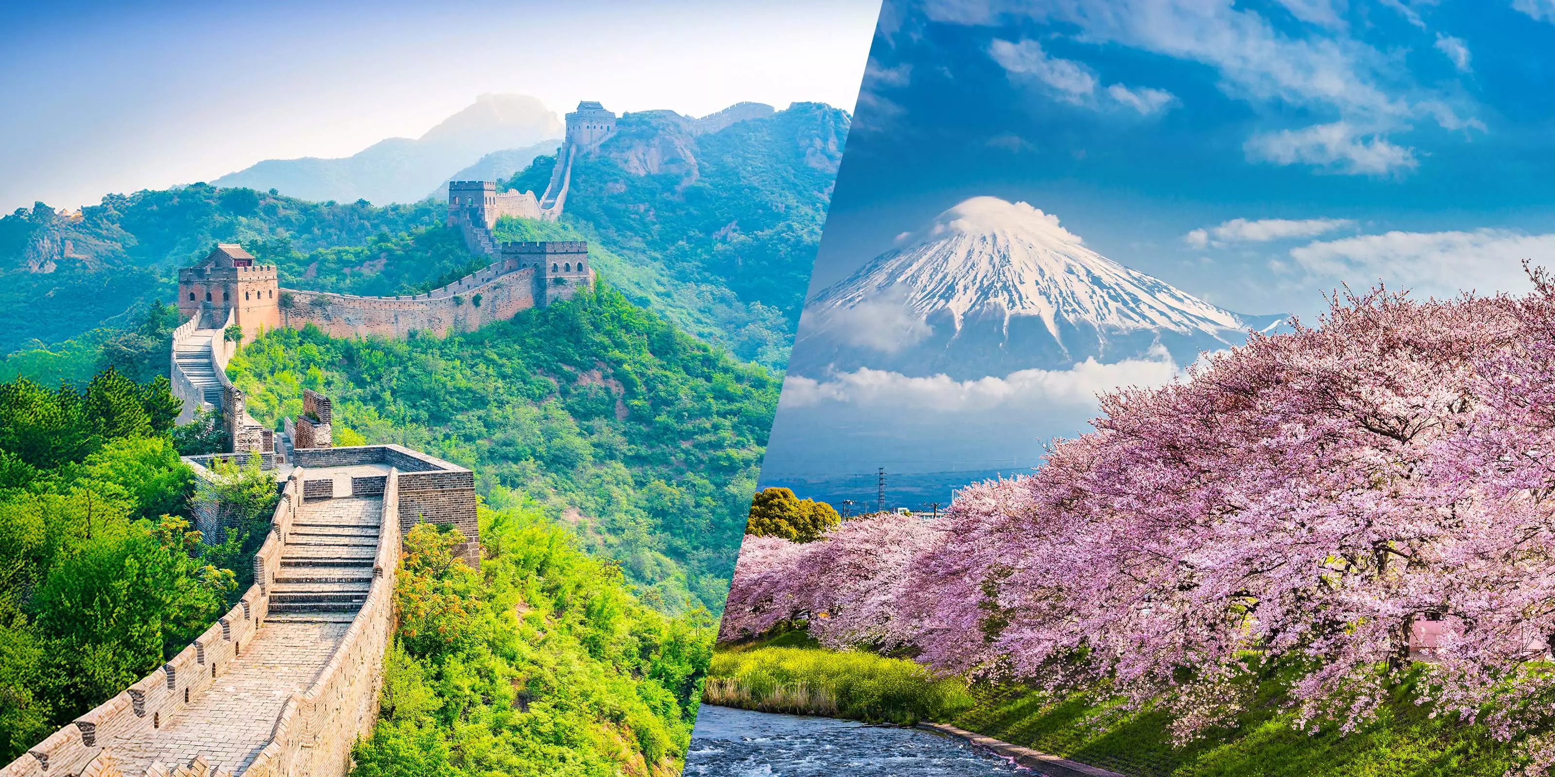 Fly FREE or 50% off Airfares