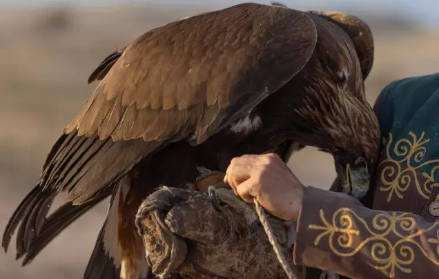 Day 9: Meet an Eagle Hunter