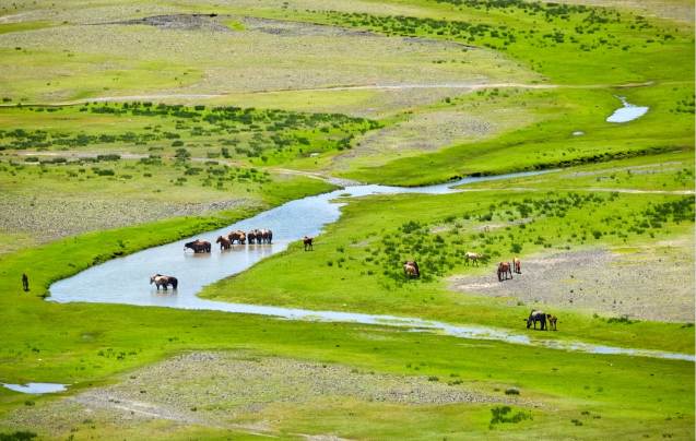 Day 18: Return to Ulaanbaatar