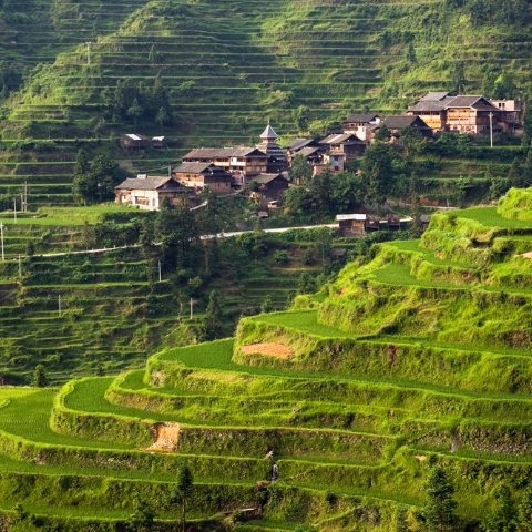 Zhaoxing Village