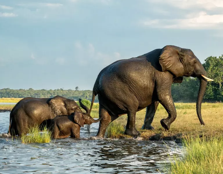Wonders of Botswana & Zimbabwe 