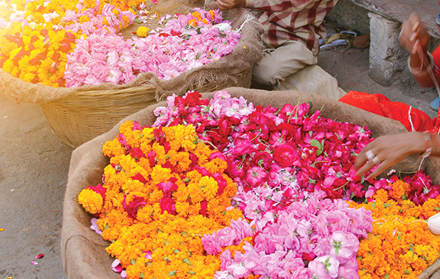 DAY 3: Train To New Jalpaiguri
