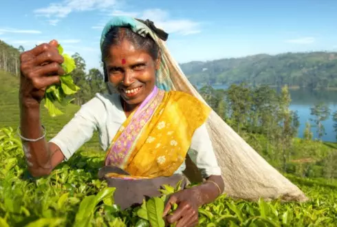 Highlights of Sri Lanka