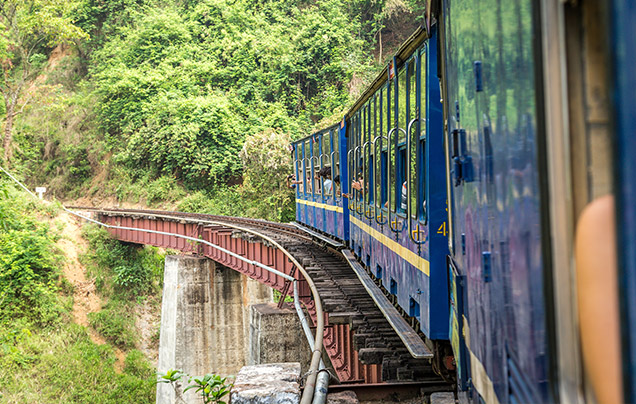 Day 7: Narrow Gauge Railway
