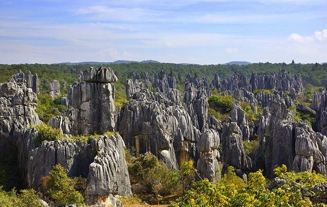 Days 15: Stone Forest
