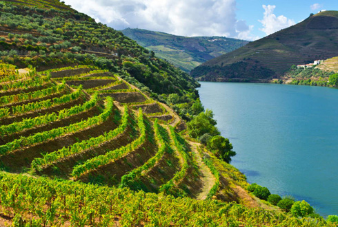 Douro Valley