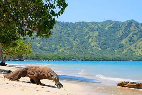 Komodo National Park