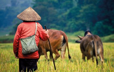 Exclusive Seniors Card Offers