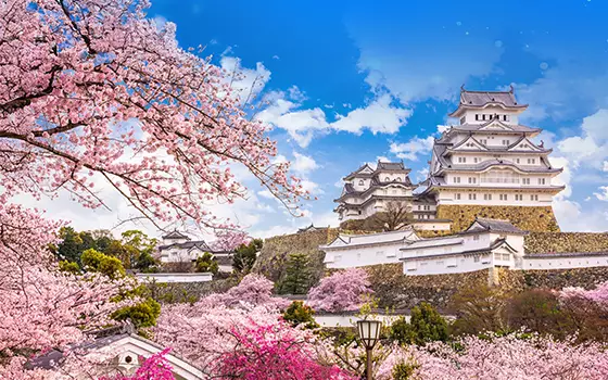 Secure Japan's Most Sought-after Travel Season