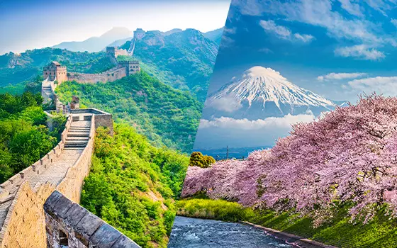 The Ultimate Flight Sale