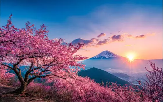 World. Wide. Travel Sale.