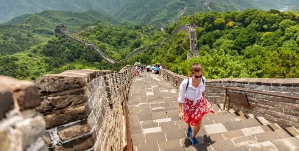 Don't Miss The Classics